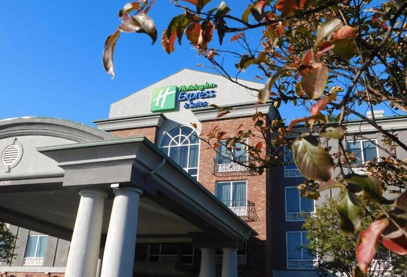 Holiday Inn Express Hotel & Suites Millington Memphis Area, An Ihg