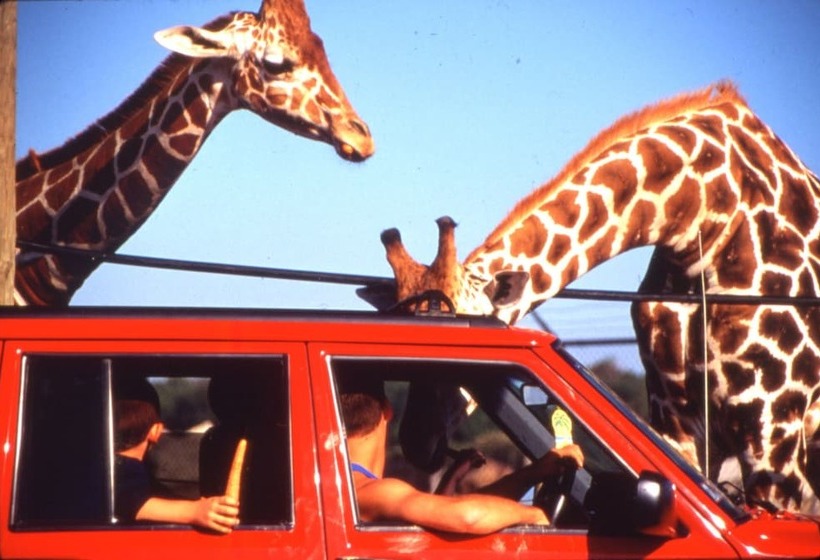 Holiday Inn Express Hotel & Suites Port Clinton Catawba Island, An Ihg