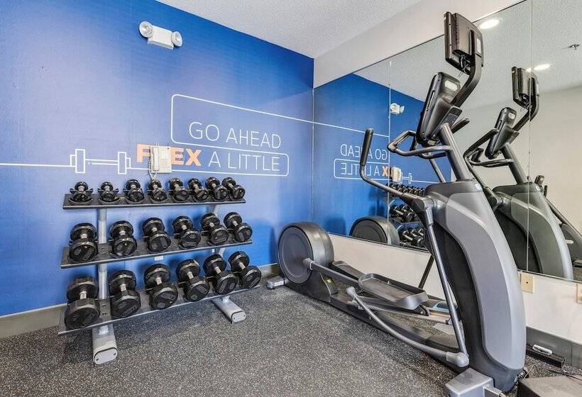 فندق Holiday Inn Express & Suites Starkville By Ihg