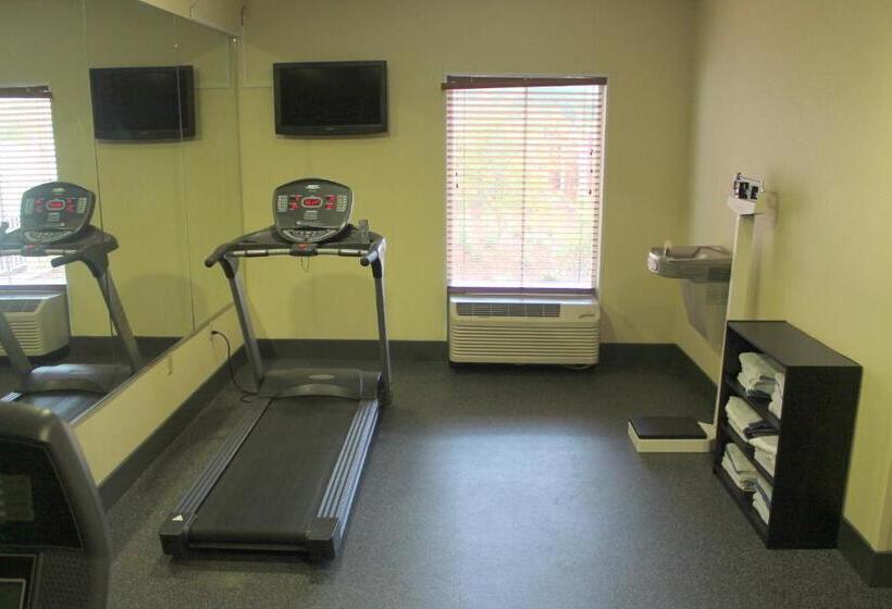 فندق Holiday Inn Express & Suites Starkville By Ihg