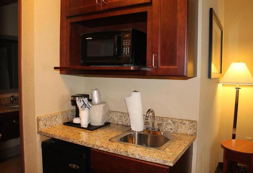 فندق Holiday Inn Express & Suites Starkville By Ihg