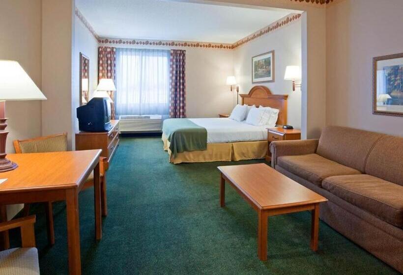 فندق Holiday Inn Express & Suites Winner By Ihg