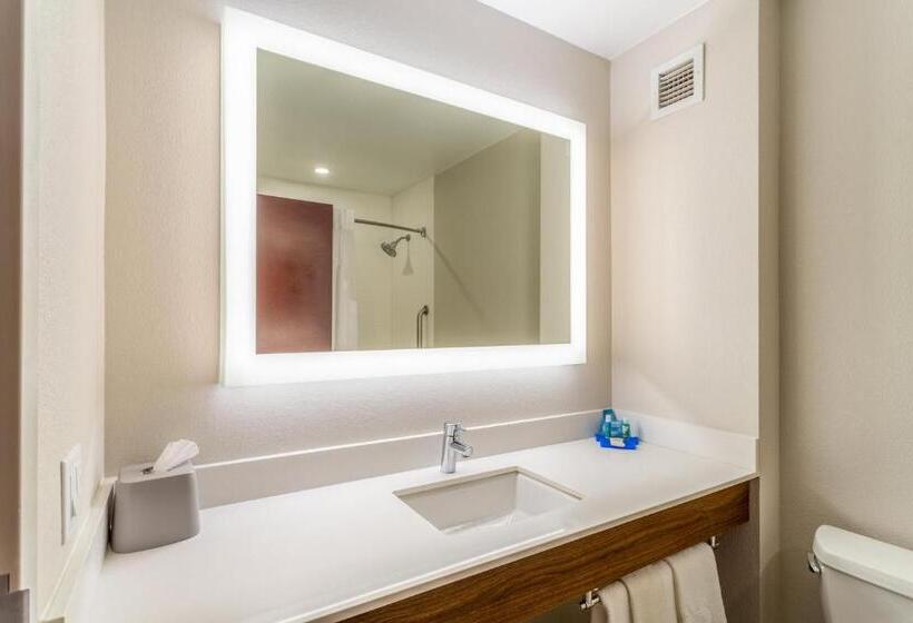 Hotel Holiday Inn Express Haskell Wayne Area, An Ihg