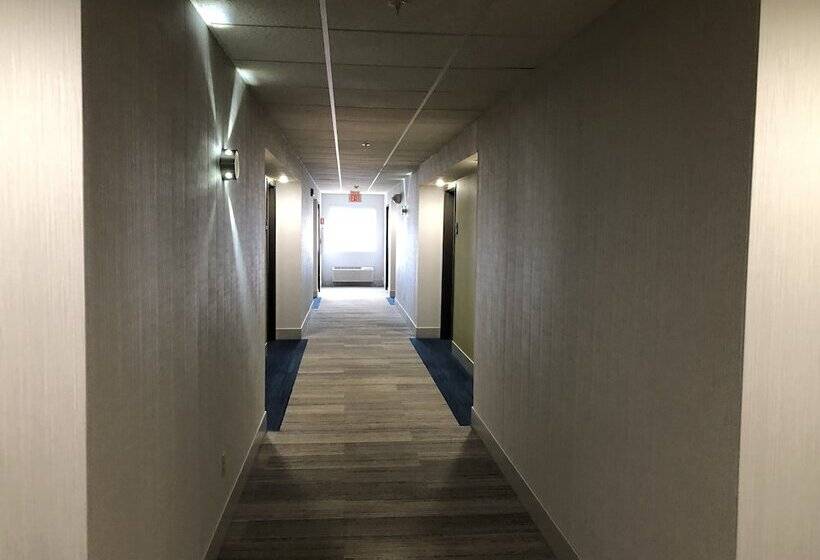 فندق Holiday Inn Express Mt. Vernon, An Ihg