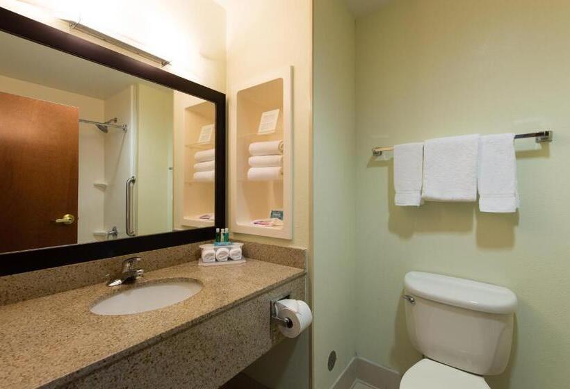 בית מלון כפרי Holiday Inn Exp Walterboro By Ihg
