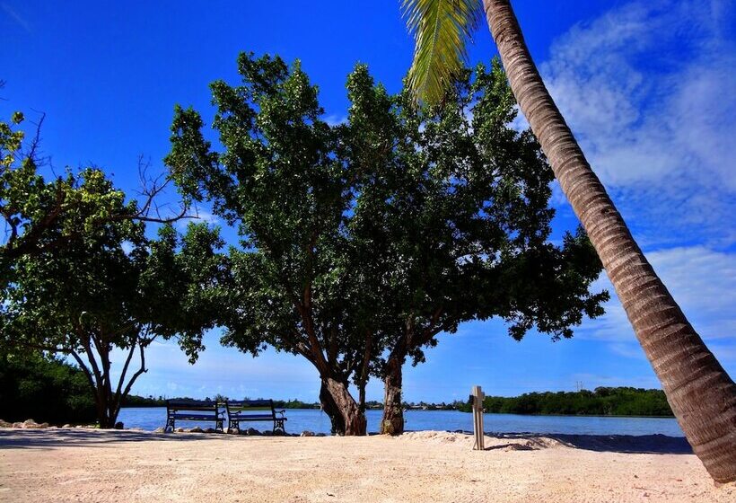 فندق Ibis Bay Resort