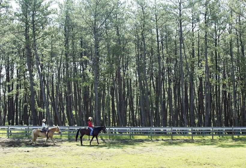 בית מלון כפרי Luxze Hitotsuba/cottage Himuka