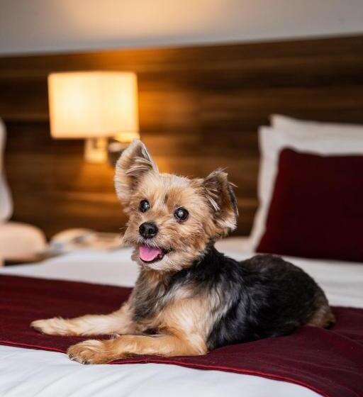 Отель Mercure Belem Boulevard