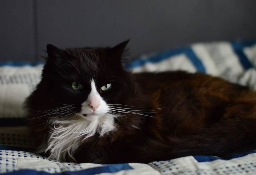 هتل Neðra Vatnshorn