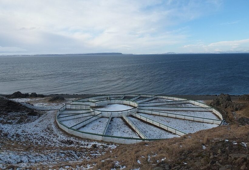 هتل Neðra Vatnshorn