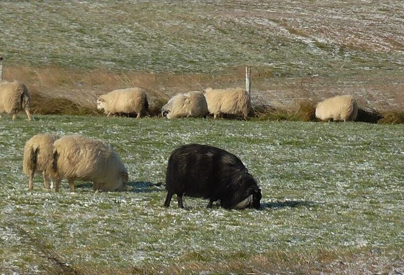 هتل Neðra Vatnshorn