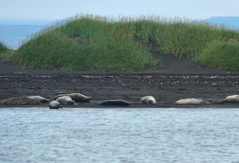 هتل Neðra Vatnshorn