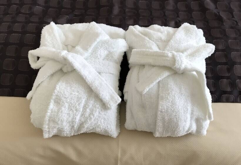 فندق Ogaki Forum