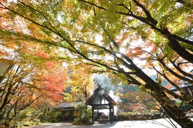فندق Ryokan Okunoyu