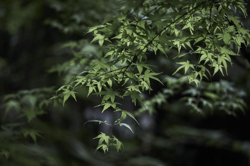 فندق Ryokan Okunoyu