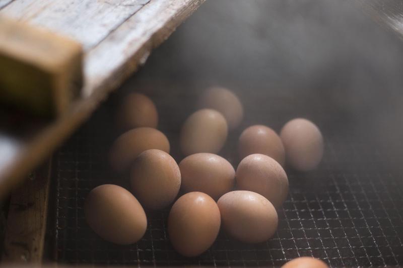 فندق Ryokan Okunoyu