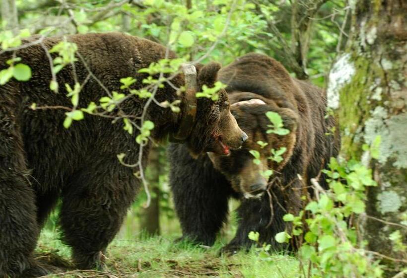 酒店 Sahoro Resort