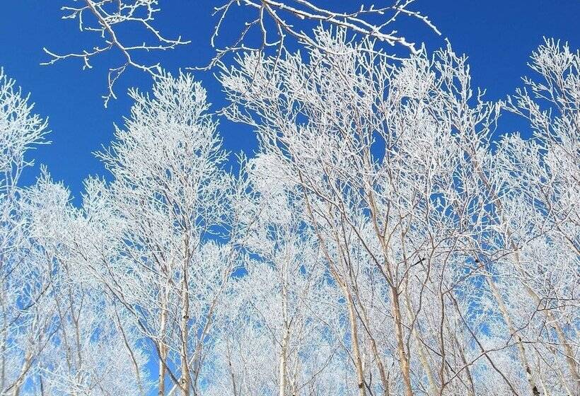 هتل Shirakabaso Shigakogen