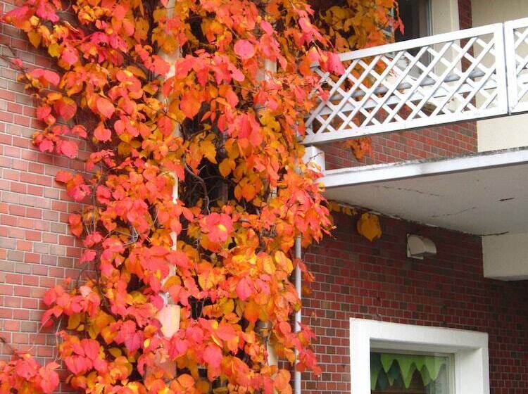 هتل Shirakabaso Shigakogen