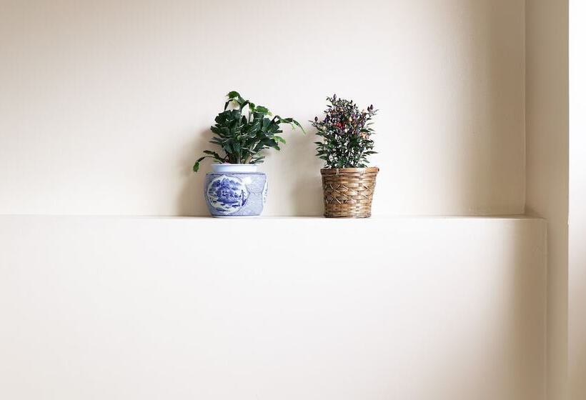 هتل Shirakabaso Shigakogen