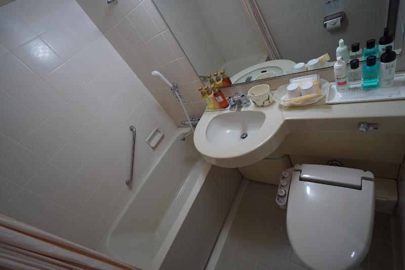 בית מלון כפרי Shirakawago