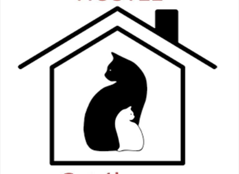 Cats House Hostel