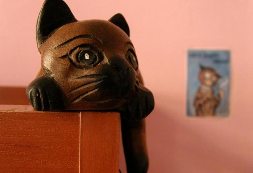 Cats House Hostel