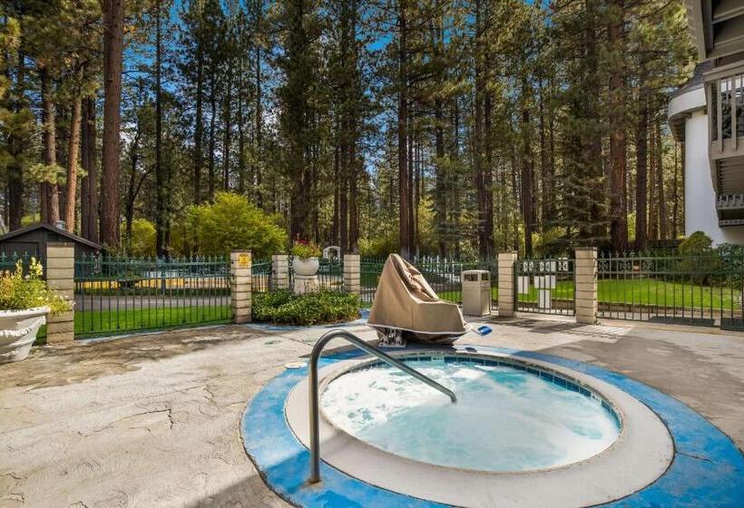 Chateau Big Bear Boutique Hotel, Bw Signature Collection