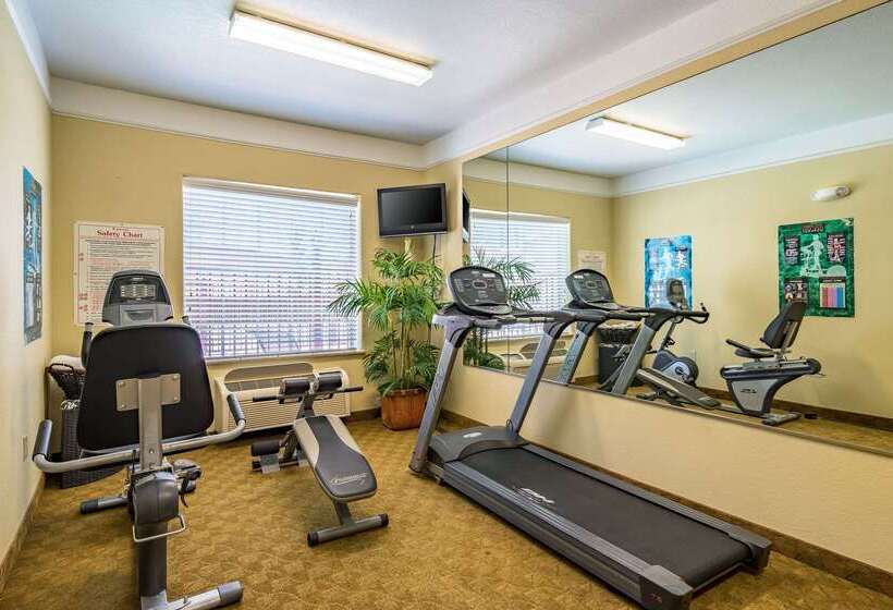 فندق Americinn By Wyndham New Braunfels