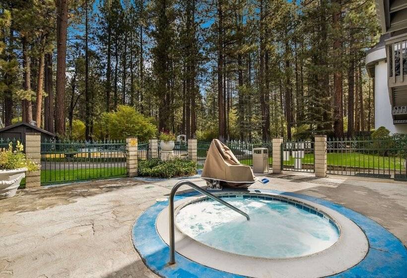 Chateau Big Bear Boutique Hotel, Bw Signature Collection