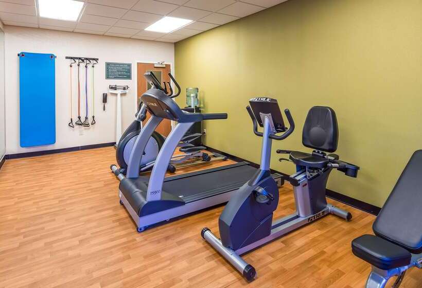 هتل Best Western Dothan Inn & Suites