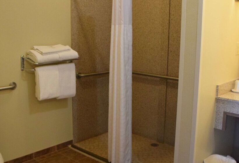 هتل Best Western Dothan Inn & Suites