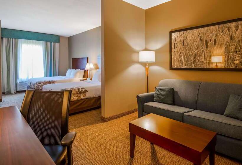 فندق Best Western Dothan Inn & Suites