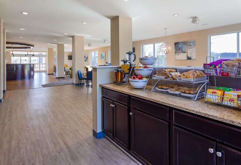 هتل Best Western Dothan Inn & Suites