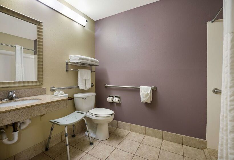 فندق Best Western Morgan City Inn