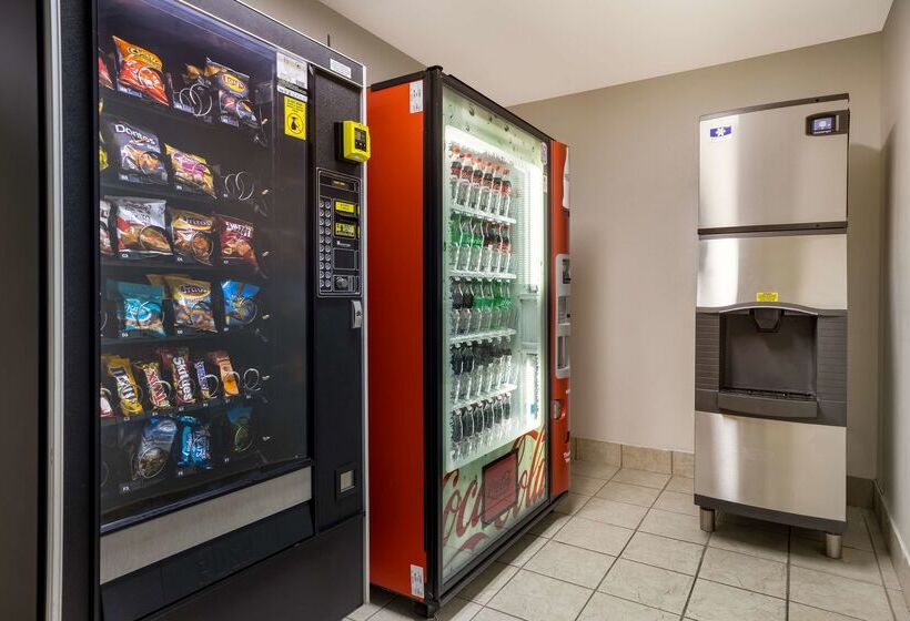 فندق Best Western Morgan City Inn