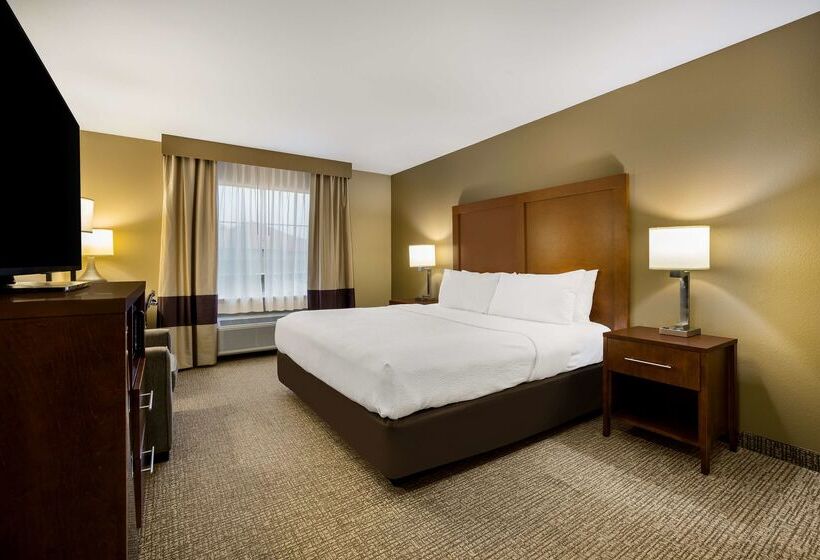 فندق Best Western Morgan City Inn