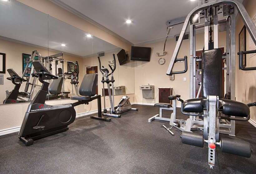 בית מלון כפרי Best Western Plus Cutting Horse Inn & Suites