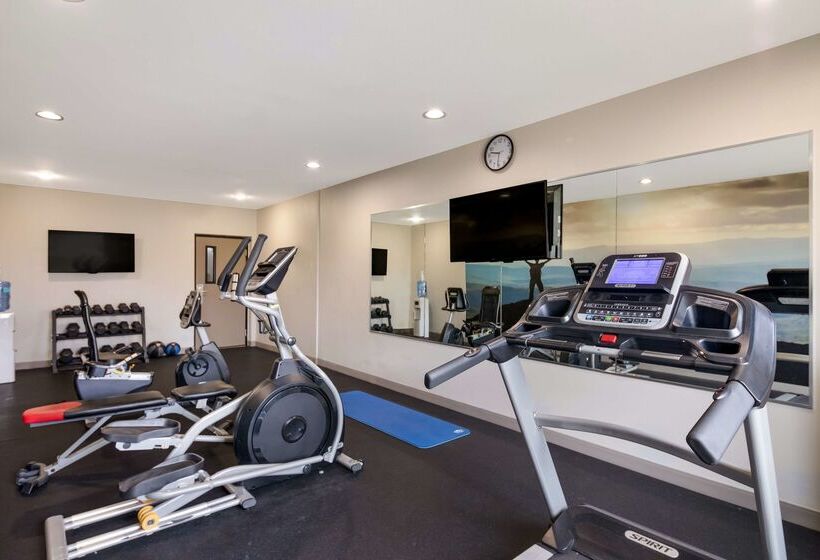 Best Western Plus Killeen/fort Cavazos Hotel & Suites