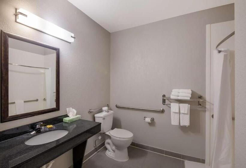 Best Western Plus Killeen/fort Cavazos Hotel & Suites