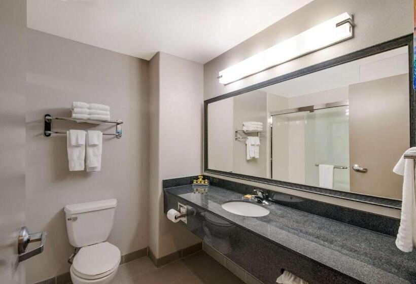 Best Western Plus Killeen/fort Cavazos Hotel & Suites