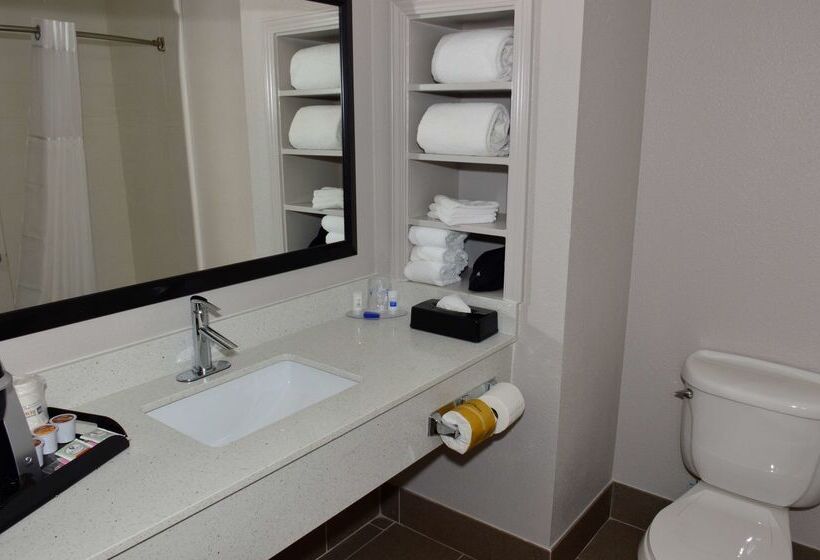 Garner Hotel Longview South, An Ihg