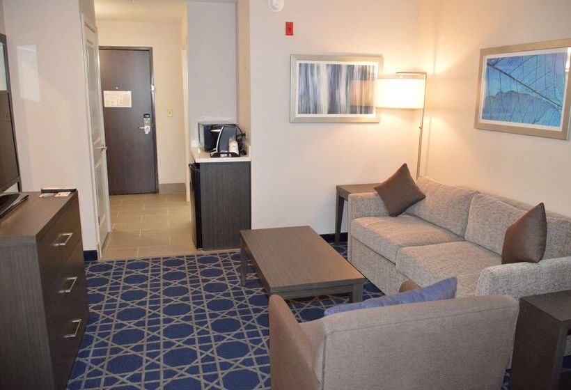 Garner Hotel Longview South, An Ihg