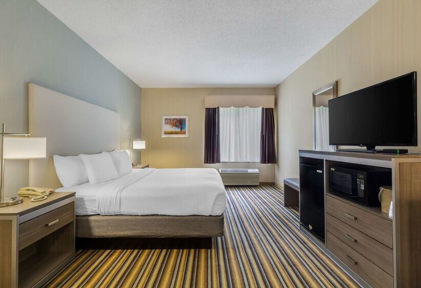 فندق Best Western Plus New England Inn & Suites