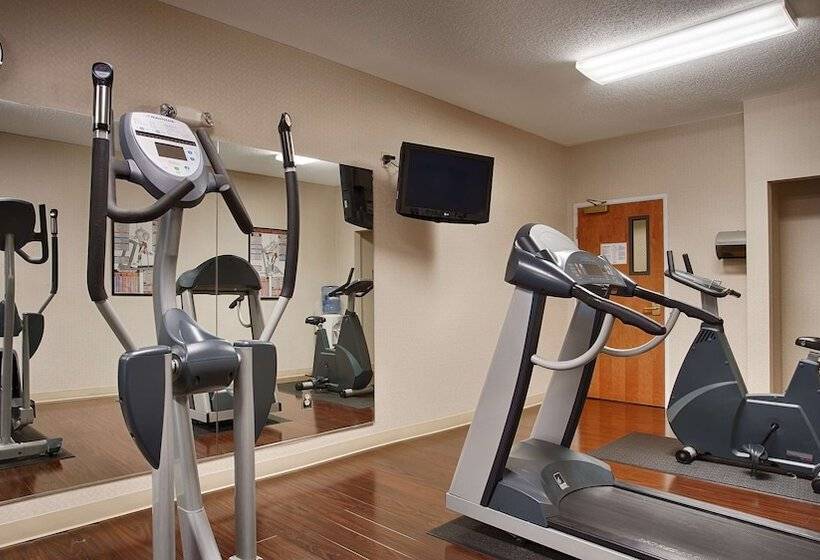 فندق Best Western Plus New England Inn & Suites