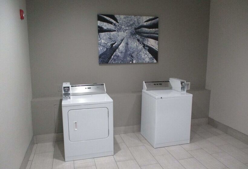 בית מלון כפרי Best Western Plus Stephenville Inn