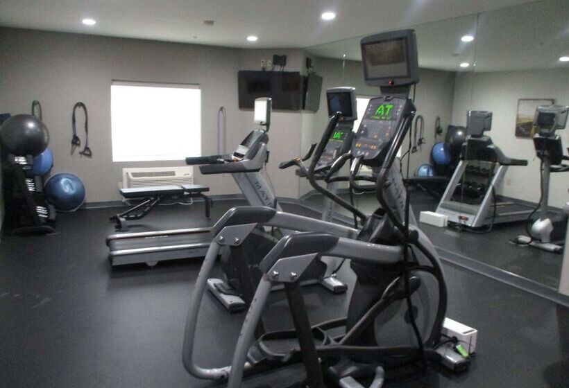 בית מלון כפרי Best Western Plus Stephenville Inn