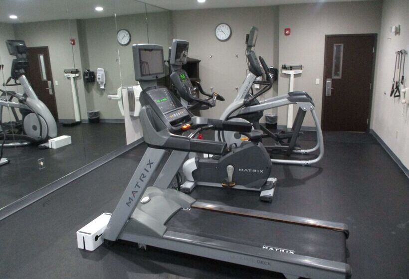 בית מלון כפרי Best Western Plus Stephenville Inn