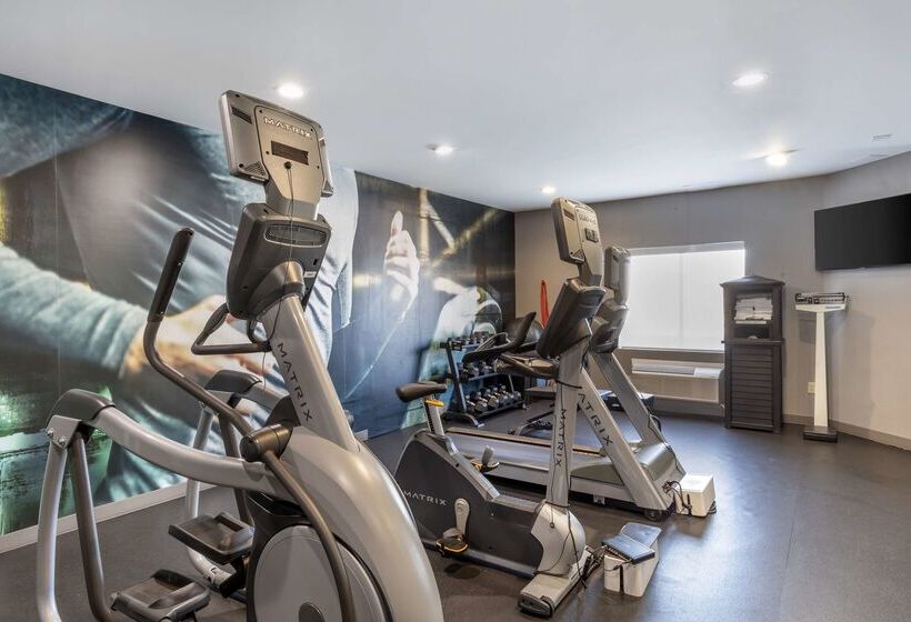 בית מלון כפרי Best Western Plus Stephenville Inn