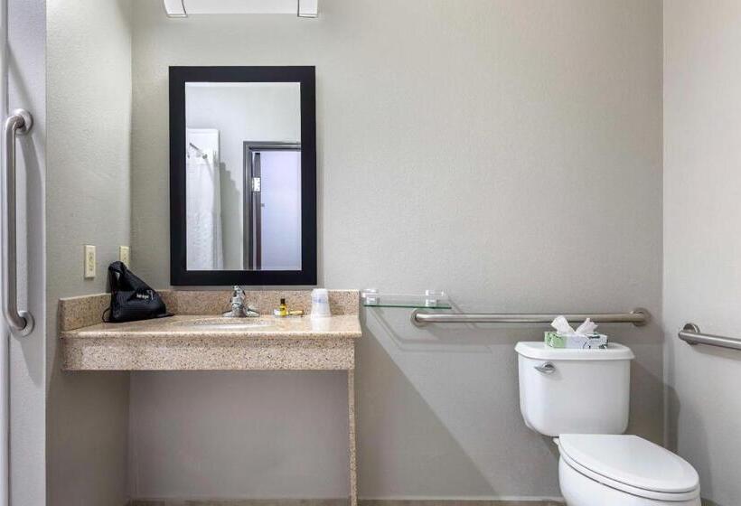 בית מלון כפרי Best Western Plus Stephenville Inn